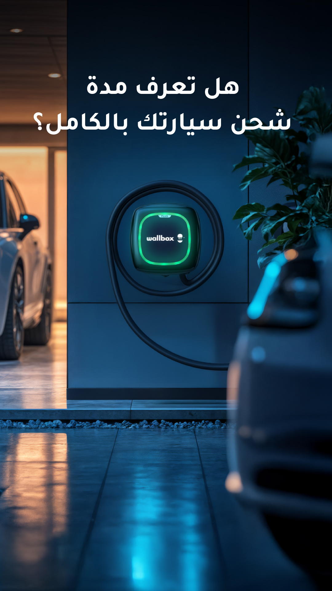 Wallbox Content – NOV 25-14